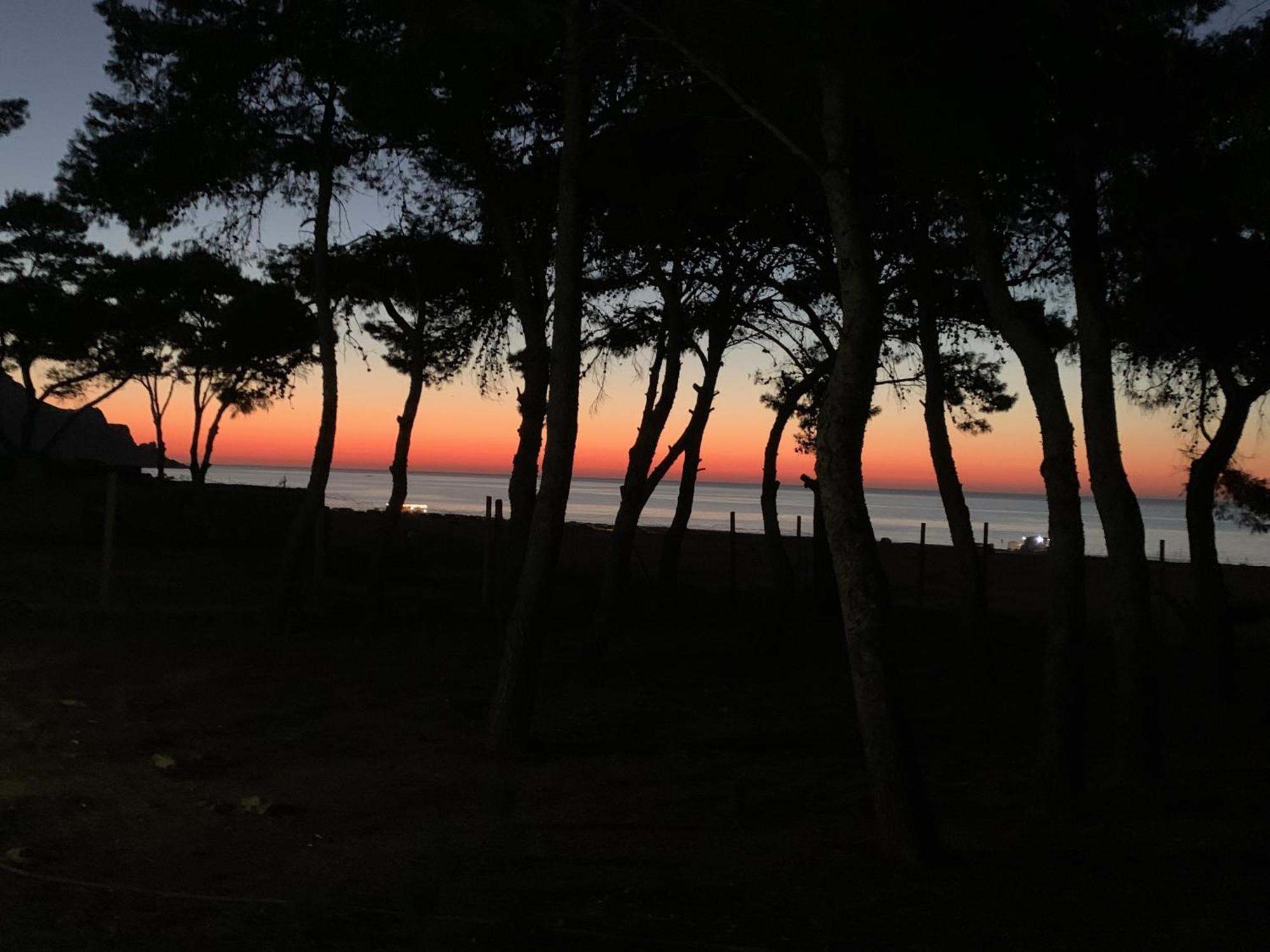 L'Oasi Una Pineta Sul Mare Custonaci Exterior photo